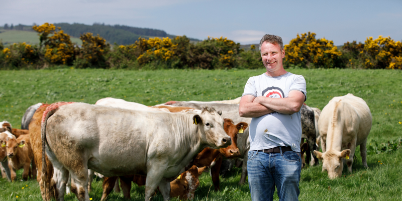 Farm Loans